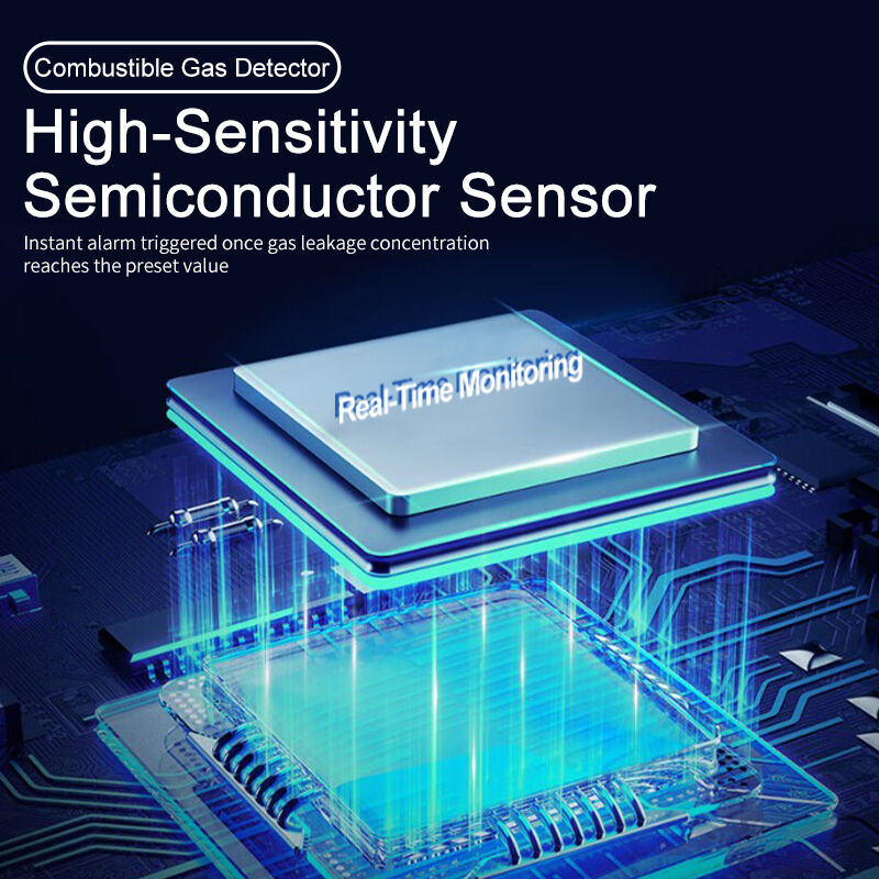 Professional Household Natural Gas Gas Leakage Alarm Device LZ-3952 High Sensitivity Sound Light Alarm Wall Mounted 5 Year Sensor Lifespan